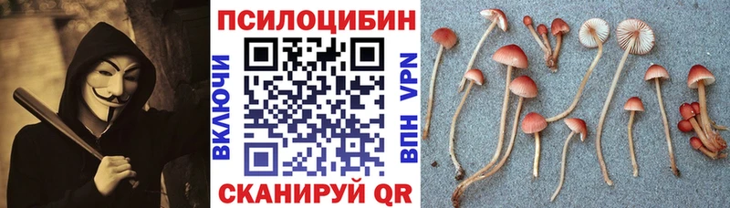 Галлюциногенные грибы MAGIC MUSHROOMS  Ардатов 